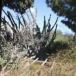Alojamento de Acomodação e Pequeno-almoço Ha La Bodrum