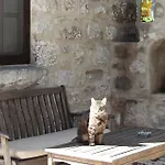 Ha La Frühstückspension 4*