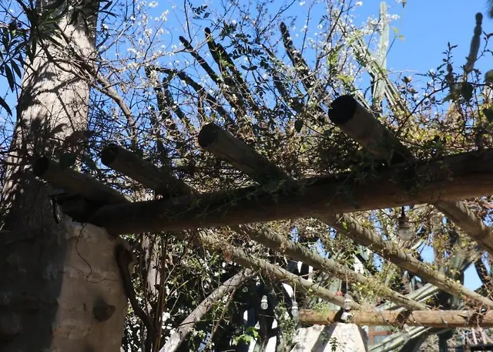 Ha La Bed & Breakfast