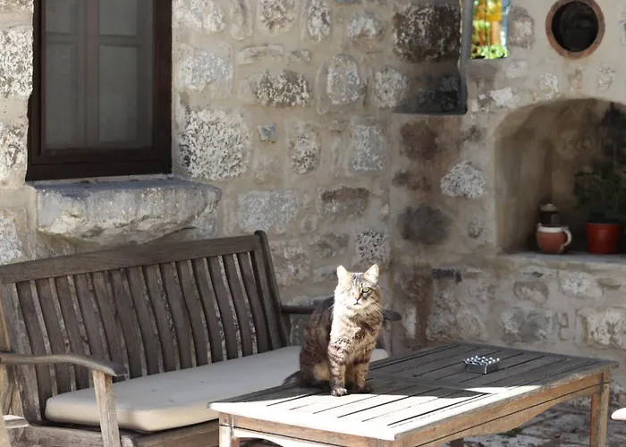 Ha La Bed & Breakfast 4*