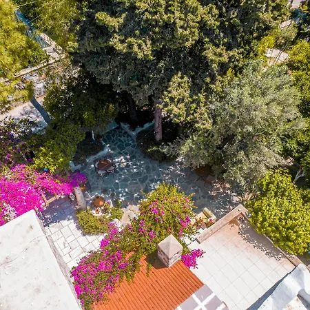Bed and Breakfast Boleka 4*