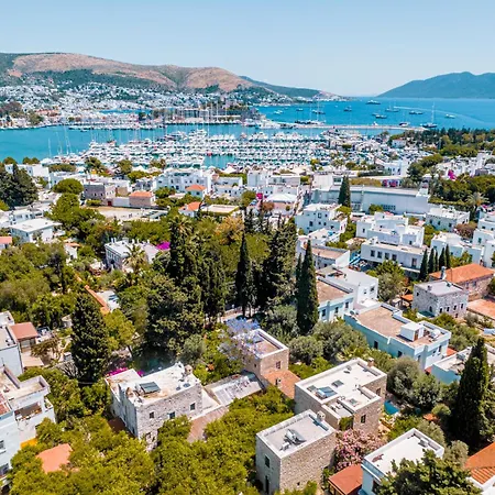 Ha La Bodrum