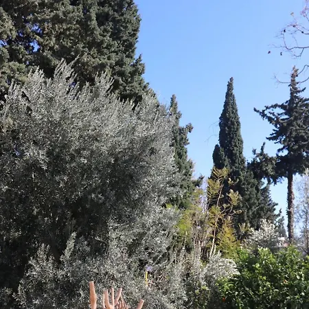 Frühstückspension Ha La *