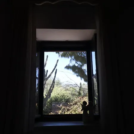 Ha La * Bodrum