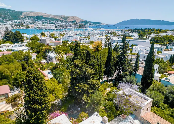 Ha La ベッド・アンド・ブレックファスト *