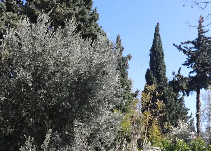 Bed and breakfast Ha La *