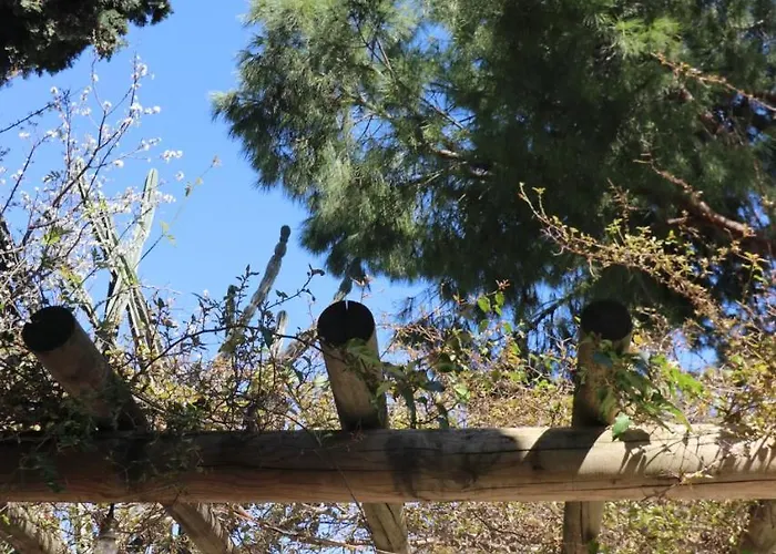 哈拉博德鲁姆酒店 * 博德鲁姆